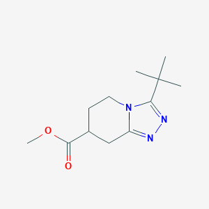 molecular formula C12H19N3O2 B7580577 Methyl 3-tert-butyl-5,6,7,8-tetrahydro[1,2,4]triazolo[4,3-a]pyridine-7-carboxylate 