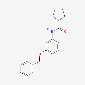 molecular formula C19H21NO2 B7580680 N-(3-phenylmethoxyphenyl)cyclopentanecarboxamide 