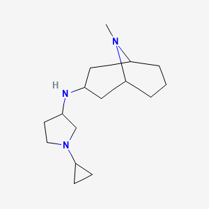 molecular formula C16H29N3 B7580813 N-(1-cyclopropylpyrrolidin-3-yl)-9-methyl-9-azabicyclo[3.3.1]nonan-3-amine 