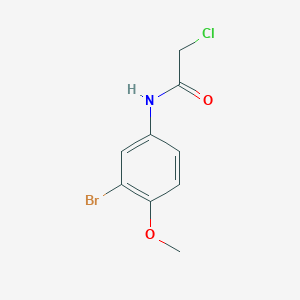 molecular formula C9H9BrClNO2 B7581068 N-(3-bromo-4-methoxyphenyl)-2-chloroacetamide 