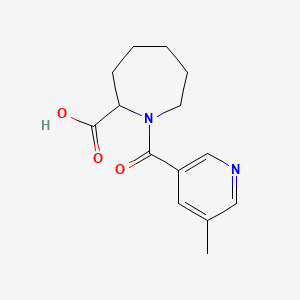 1-(5-Methylpyridine-3-carbonyl)azepane-2-carboxylic acid