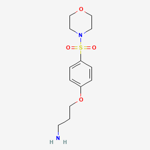 molecular formula C13H20N2O4S B7581638 3-(4-Morpholin-4-ylsulfonylphenoxy)propan-1-amine 