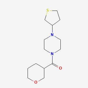 molecular formula C14H24N2O2S B7583346 Oxan-3-yl-[4-(thiolan-3-yl)piperazin-1-yl]methanone 