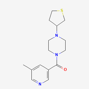 (5-Methylpyridin-3-yl)-[4-(thiolan-3-yl)piperazin-1-yl]methanone