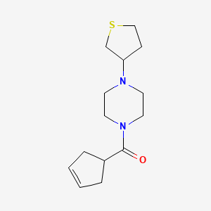 molecular formula C14H22N2OS B7583358 Cyclopent-3-en-1-yl-[4-(thiolan-3-yl)piperazin-1-yl]methanone 
