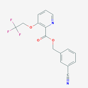 molecular formula C16H11F3N2O3 B7583686 (3-Cyanophenyl)methyl 3-(2,2,2-trifluoroethoxy)pyridine-2-carboxylate 