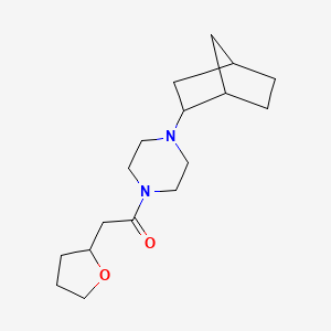 molecular formula C17H28N2O2 B7584901 1-[4-(2-Bicyclo[2.2.1]heptanyl)piperazin-1-yl]-2-(oxolan-2-yl)ethanone 