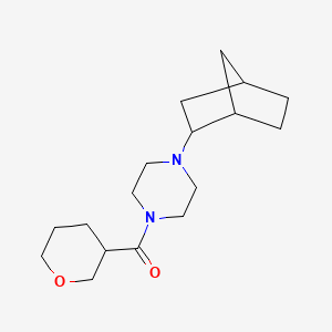 molecular formula C17H28N2O2 B7584913 [4-(2-Bicyclo[2.2.1]heptanyl)piperazin-1-yl]-(oxan-3-yl)methanone 