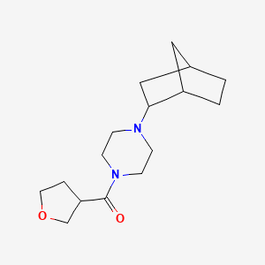 molecular formula C16H26N2O2 B7584939 [4-(2-Bicyclo[2.2.1]heptanyl)piperazin-1-yl]-(oxolan-3-yl)methanone 