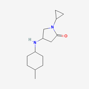 molecular formula C14H24N2O B7585085 1-Cyclopropyl-4-[(4-methylcyclohexyl)amino]pyrrolidin-2-one 