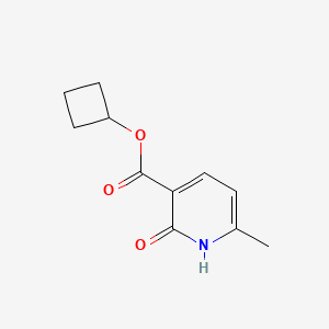 molecular formula C11H13NO3 B7585218 cyclobutyl 6-methyl-2-oxo-1H-pyridine-3-carboxylate 