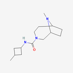 molecular formula C14H25N3O B7585266 9-methyl-N-(3-methylcyclobutyl)-3,9-diazabicyclo[4.2.1]nonane-3-carboxamide 
