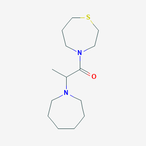 molecular formula C14H26N2OS B7586664 2-(Azepan-1-yl)-1-(1,4-thiazepan-4-yl)propan-1-one 