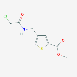 molecular formula C9H10ClNO3S B7586828 4-[(2-Chloro-acetylamino)-methyl]-thiophene-2-carboxylic acid methyl ester 