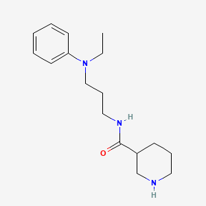 molecular formula C17H27N3O B7587544 N-[3-(N-ethylanilino)propyl]piperidine-3-carboxamide 