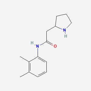 molecular formula C14H20N2O B7587781 N-(2,3-dimethylphenyl)-2-pyrrolidin-2-ylacetamide 