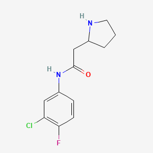 molecular formula C12H14ClFN2O B7587805 N-(3-chloro-4-fluorophenyl)-2-pyrrolidin-2-ylacetamide 
