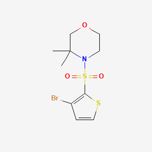 molecular formula C10H14BrNO3S2 B7587852 4-(3-Bromothiophen-2-yl)sulfonyl-3,3-dimethylmorpholine 