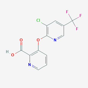 molecular formula C12H6ClF3N2O3 B7587982 3-[3-Chloro-5-(trifluoromethyl)pyridin-2-yl]oxypyridine-2-carboxylic acid 
