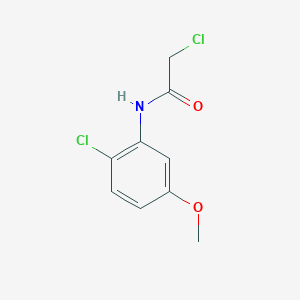 molecular formula C9H9Cl2NO2 B7588484 2-chloro-N-(2-chloro-5-methoxyphenyl)acetamide 