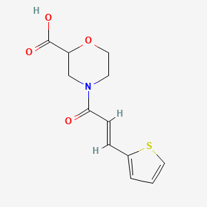 molecular formula C12H13NO4S B7589044 4-[(E)-3-thiophen-2-ylprop-2-enoyl]morpholine-2-carboxylic acid 