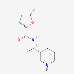 molecular formula C13H20N2O2 B7590258 5-methyl-N-(1-piperidin-3-ylethyl)furan-2-carboxamide 