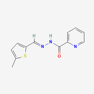 molecular formula C12H11N3OS B7590659 N-[(E)-(5-methylthiophen-2-yl)methylideneamino]pyridine-2-carboxamide 