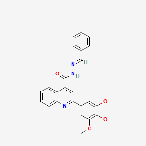 molecular formula C30H31N3O4 B7590681 N-[(E)-(4-tert-butylphenyl)methylideneamino]-2-(3,4,5-trimethoxyphenyl)quinoline-4-carboxamide 