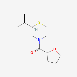 molecular formula C12H21NO2S B7591462 Oxolan-2-yl-(2-propan-2-ylthiomorpholin-4-yl)methanone 