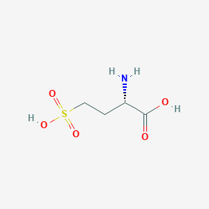 molecular formula C4H9NO5S B075922 L-高半胱氨酸 CAS No. 14857-77-3