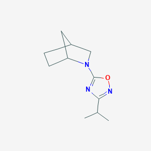 molecular formula C11H17N3O B7593741 5-(2-Azabicyclo[2.2.1]heptan-2-yl)-3-propan-2-yl-1,2,4-oxadiazole 