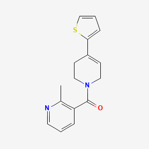 molecular formula C16H16N2OS B7594115 (2-methylpyridin-3-yl)-(4-thiophen-2-yl-3,6-dihydro-2H-pyridin-1-yl)methanone 