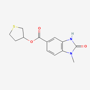molecular formula C13H14N2O3S B7594686 thiolan-3-yl 1-methyl-2-oxo-3H-benzimidazole-5-carboxylate 