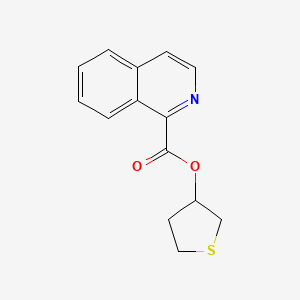 molecular formula C14H13NO2S B7594693 Thiolan-3-yl isoquinoline-1-carboxylate 