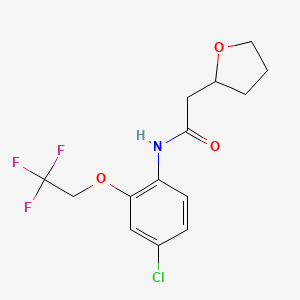 molecular formula C14H15ClF3NO3 B7594702 N-[4-chloro-2-(2,2,2-trifluoroethoxy)phenyl]-2-(oxolan-2-yl)acetamide 