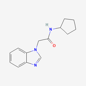 molecular formula C14H17N3O B7595656 2-(1H-benzimidazol-1-yl)-N-cyclopentylacetamide 