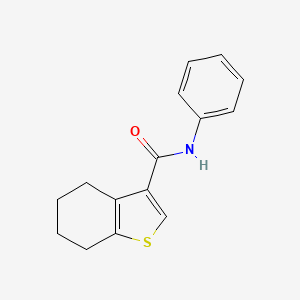 N-phenyl-4,5,6,7-tetrahydro-1-benzothiophene-3-carboxamide