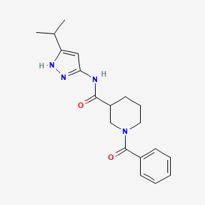 molecular formula C19H24N4O2 B7596907 1-benzoyl-N-(5-propan-2-yl-1H-pyrazol-3-yl)piperidine-3-carboxamide 