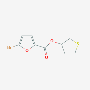 molecular formula C9H9BrO3S B7596945 Thiolan-3-yl 5-bromofuran-2-carboxylate 