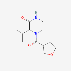 molecular formula C12H20N2O3 B7597083 4-(Oxolane-3-carbonyl)-3-propan-2-ylpiperazin-2-one 