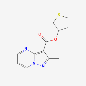 molecular formula C12H13N3O2S B7597115 Thiolan-3-yl 2-methylpyrazolo[1,5-a]pyrimidine-3-carboxylate 