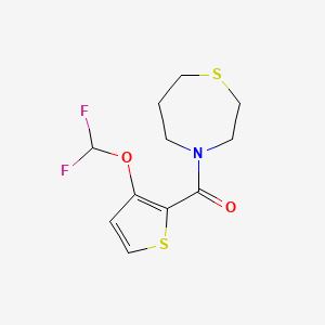 molecular formula C11H13F2NO2S2 B7597240 [3-(Difluoromethoxy)thiophen-2-yl]-(1,4-thiazepan-4-yl)methanone 