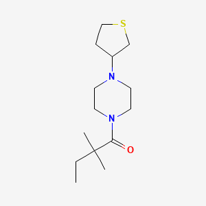 2,2-Dimethyl-1-[4-(thiolan-3-yl)piperazin-1-yl]butan-1-one