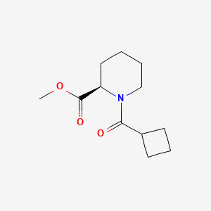 molecular formula C12H19NO3 B7598274 methyl (2R)-1-(cyclobutanecarbonyl)piperidine-2-carboxylate 