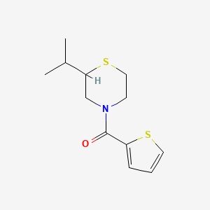 molecular formula C12H17NOS2 B7598666 (2-Propan-2-ylthiomorpholin-4-yl)-thiophen-2-ylmethanone 