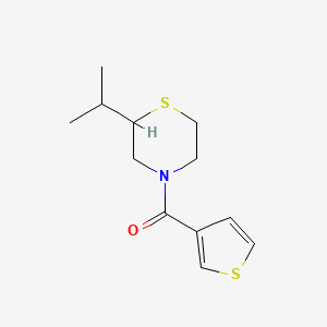 molecular formula C12H17NOS2 B7598717 (2-Propan-2-ylthiomorpholin-4-yl)-thiophen-3-ylmethanone 