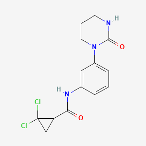 molecular formula C14H15Cl2N3O2 B7598772 2,2-dichloro-N-[3-(2-oxo-1,3-diazinan-1-yl)phenyl]cyclopropane-1-carboxamide 