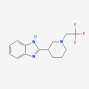 molecular formula C14H16F3N3 B7598986 2-[1-(2,2,2-trifluoroethyl)piperidin-3-yl]-1H-benzimidazole 