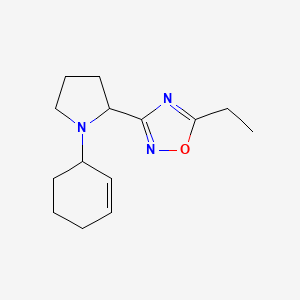 3-(1-Cyclohex-2-en-1-ylpyrrolidin-2-yl)-5-ethyl-1,2,4-oxadiazole