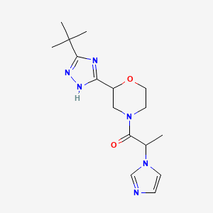 molecular formula C16H24N6O2 B7599110 1-[2-(3-tert-butyl-1H-1,2,4-triazol-5-yl)morpholin-4-yl]-2-imidazol-1-ylpropan-1-one 